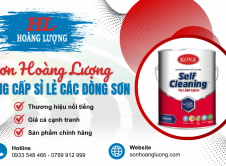 Cung cấp sỉ lẻ các dòng sơn nổi tiếng | Cửa hàng Sơn Hoàng Lượng