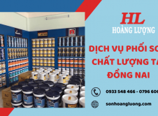 Sơn Hoàng Lượng cung cấp dịch vụ phối màu sơn nhà uy tín, giá rẻ tại Đồng Nai