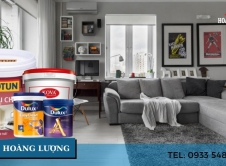 Mách bạn địa chỉ mua sơn chính hãng uy tín tại Đồng Nai - Sơn Hoàng Lượng
